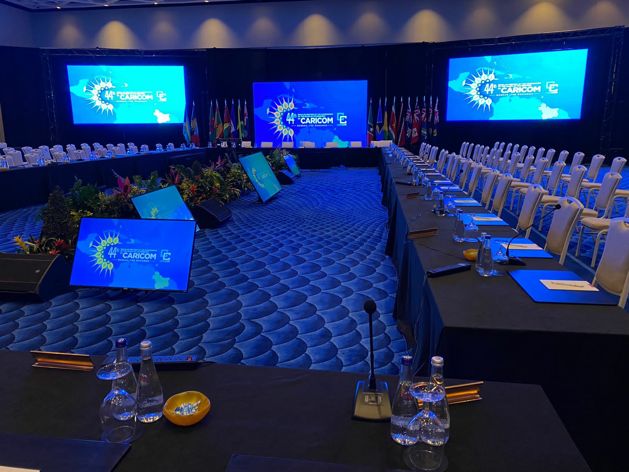 Description of the image or video for seo